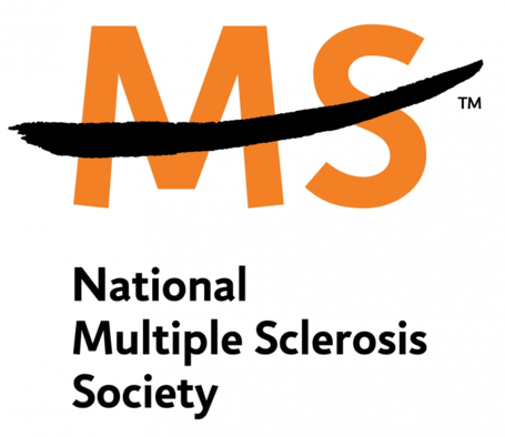 MS Logo