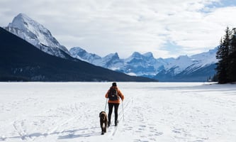 hiker in orange jacket and brown dog in the mountains