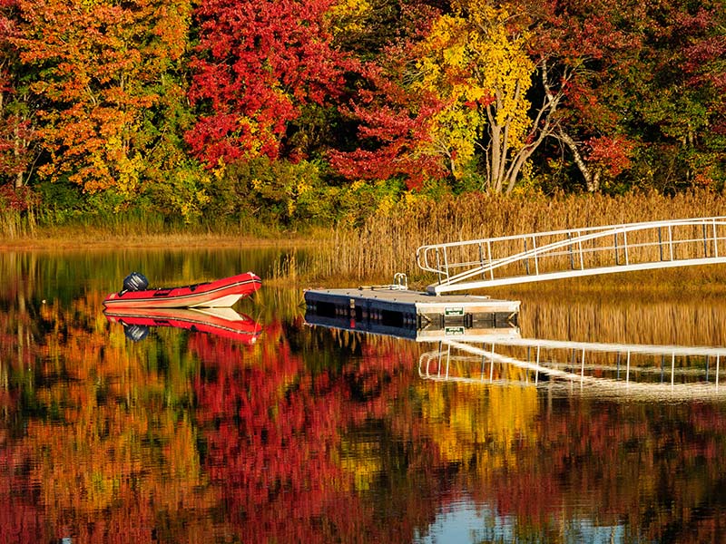 Overlooking a small pond with vibrant colored trees during autumn